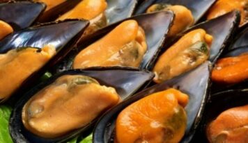 Mariscos del Rey lleva el auténtico sabor del océano a la mesa con una calidad y frescura inigualables