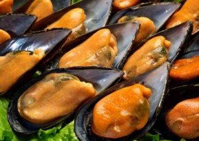 Mariscos del Rey lleva el auténtico sabor del océano a la mesa con una calidad y frescura inigualables