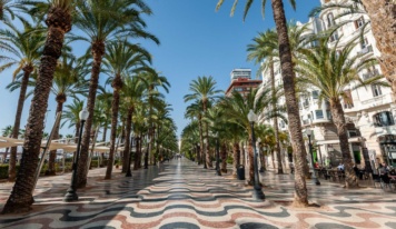 Digital Diggers abre una oficina en Alicante y lanza su sitio web en español