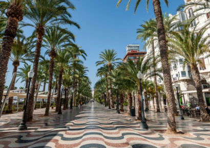 Digital Diggers abre una oficina en Alicante y lanza su sitio web en español