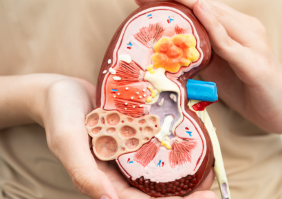 Cerca del 8% de las personas participantes en el programa de cribado de enfermedad renal en farmacias de Gipuzkoa han sido derivadas a Atención Primaria 