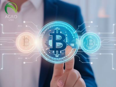 Agro USD apuesta por auditorías periódicas para reforzar la confianza en su stablecoin 