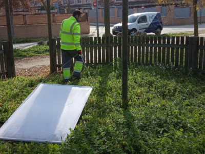 Rentokil detecta un aumento de garrapatas este verano: el calor dispara su presencia en parques, jardines y hogares