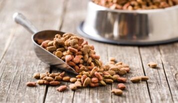 Revisión de 31 estudios concluye que los alimentos veganos para perros y gatos tienen buena digestibilidad