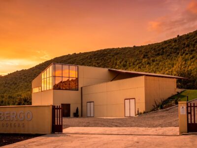 Obergo pone en valor el enoturismo en el Somontano como experiencia clave para el verano