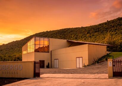 Obergo pone en valor el enoturismo en el Somontano como experiencia clave para el verano