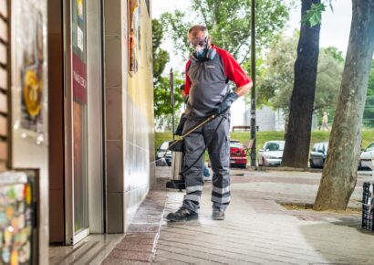 Las cucarachas lideran el ranking de plagas en Andalucía, con especial incidencia en Huelva, Jaén y Sevilla