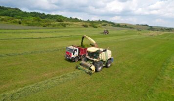 OrganicClimateNET transforma la experiencia de explotaciones ecológicas europeas en conocimiento práctico sobre clima y agricultura ecológica