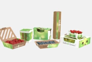 Smurfit Westrock transforma el futuro del envase hortofrutícola con soluciones diseñadas para cada reto de la cadena de valor